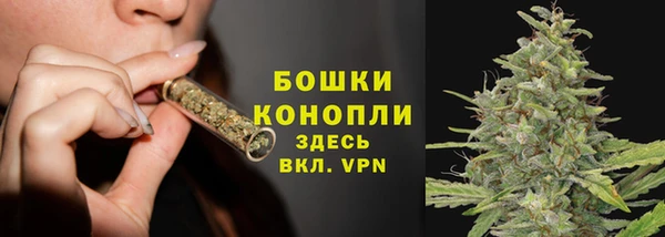 прущая мука Осташков