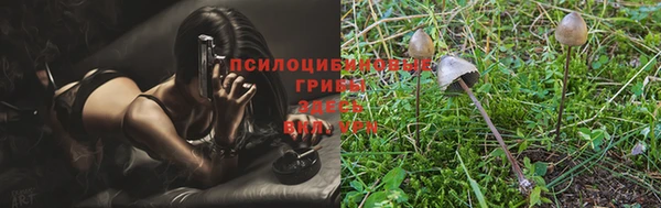 прущая мука Осташков