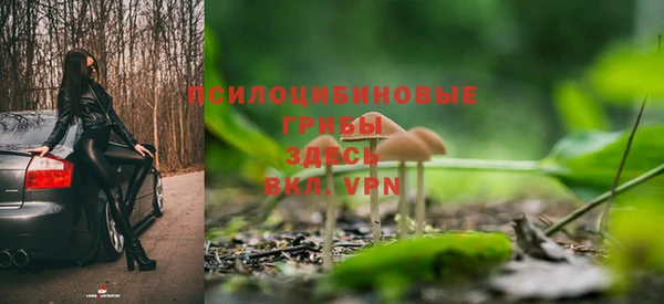 СК Нягань