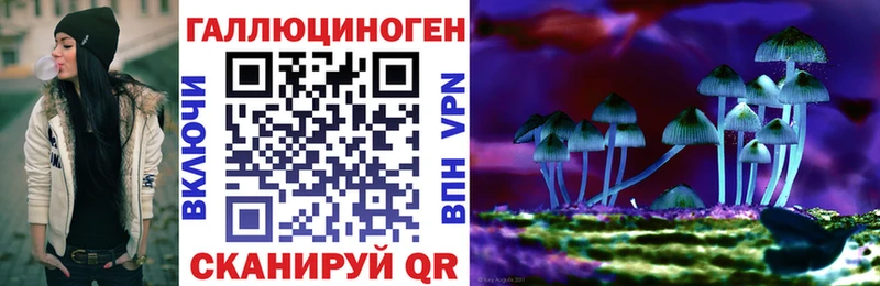 хочу Елец Псилоцибиновые грибы мухоморы