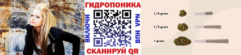 купить наркотик  Елец  Бошки марихуана конопля 